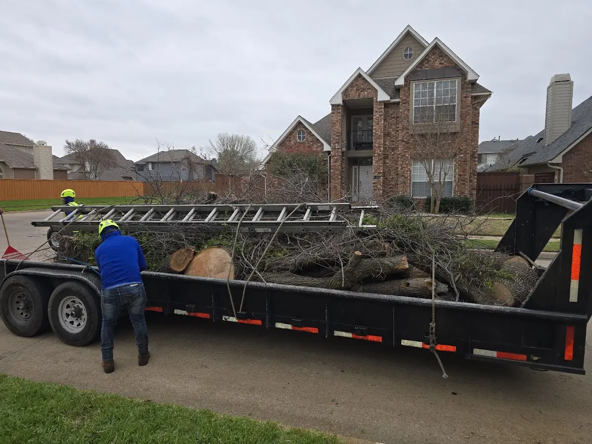 Expert Lot Clearing with proper safety equipment in Atomic City